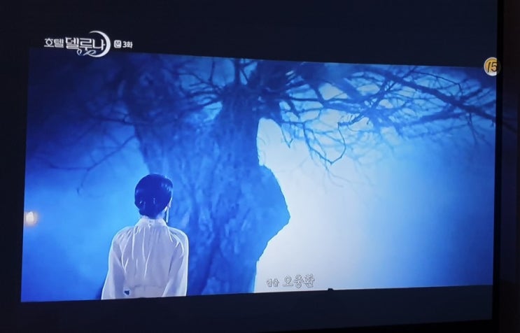  호텔 델루나 아이유 연기력
