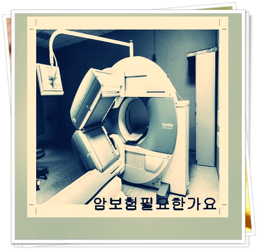  수술보험  중요부분