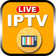  LG유플러스 IPTV 기업용