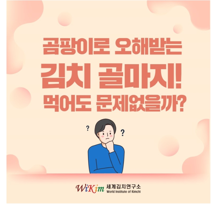  김치를 알아보다! 김치 골마지 오해와 진실!