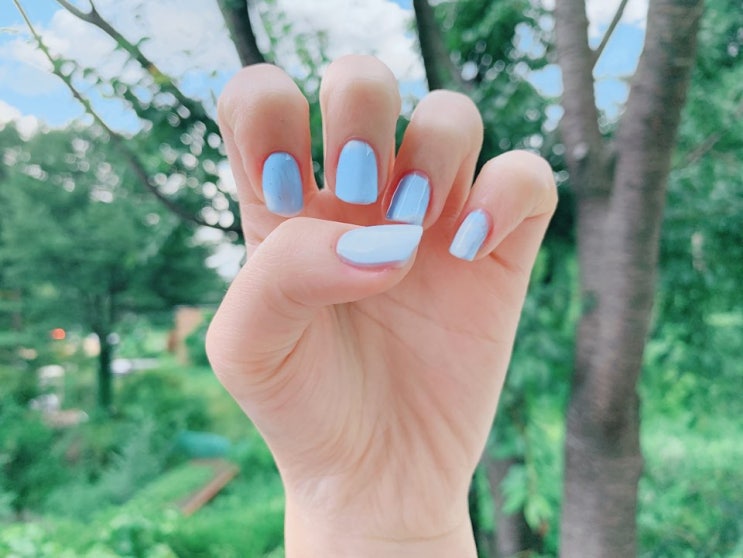  피크닉 PICNIC 어플로 죽은 사진 살리기 ><