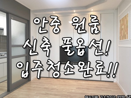 안중원룸 신축 풀옵션 예쁜인테리어 회사숙소 기숙사 입추청소 완료 언제든지 입주만~ 안중원룸 신축 풀옵션 예쁜인테리어 회사숙소 기숙사 입추청소 완료 언제든지 입주만~