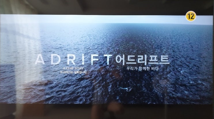  생존영화추천, 어드리프트 : 우리가 함께한 바다(평점8.81)
