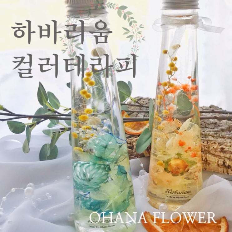  [부산하바리움] 나만의컬러테라피하바리움만들기 / 부산 수영 광안 플라워스튜디오 오하나플라워