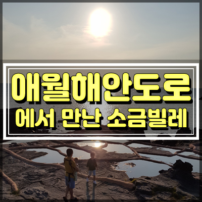  제주도 드라이브코스 애월해안도로에서 만난 소금빌레