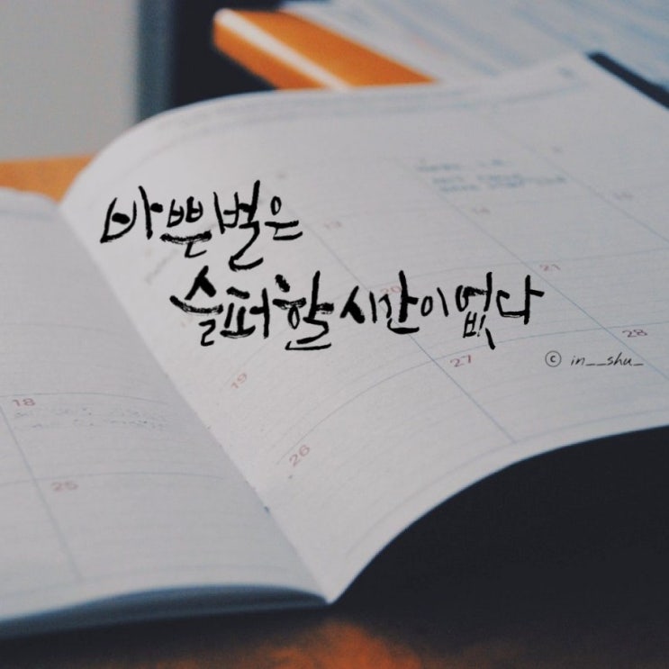  스무번째 캘리 <붓펜 배경사진.17>