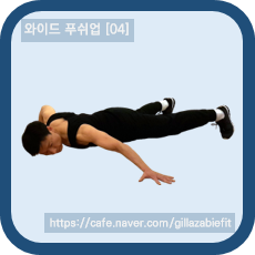  황새를 쫓아간 뱁새 - 와이드 푸쉬업