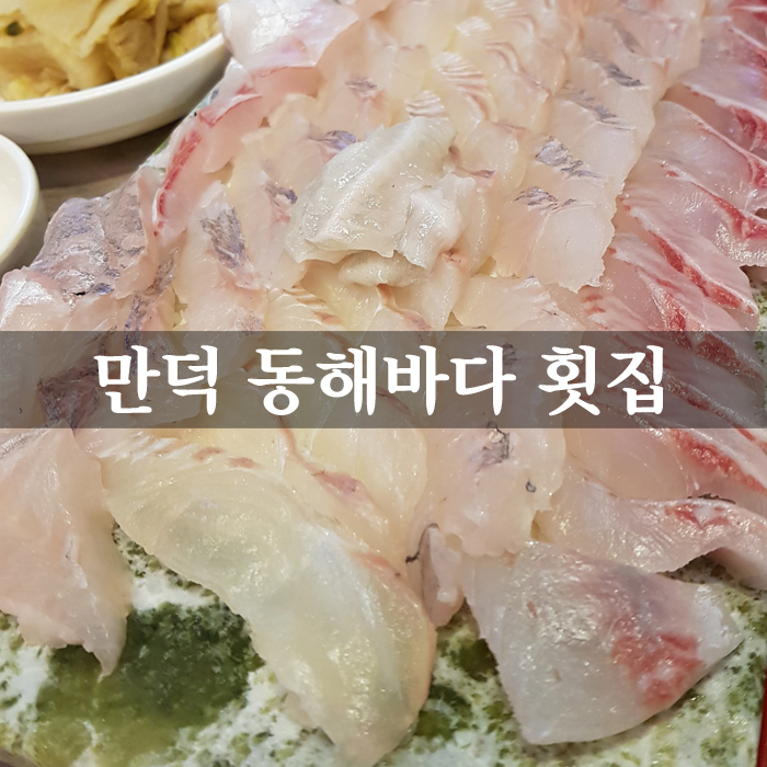  중복에 만덕 횟집 동해바다 횟집 다녀왔어요^^