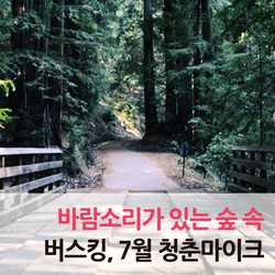  바람소리가 있는 숲 속 버스킹! 7월 청춘마이크