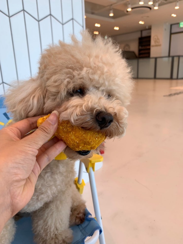  오늘이 중복이라서