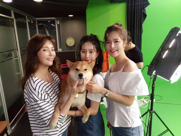  [펫서울 홍보대사 안혜경] "반려견 산책은 사랑입니다.^^" 산책캠페인 촬영장 스케치