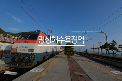  동해 망상해수욕장, 무궁화호 열차로 찾아갔어요.