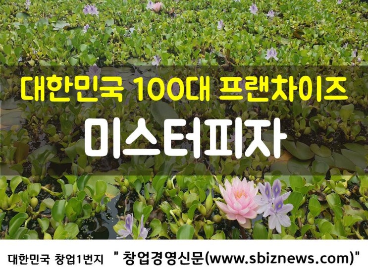  대한민국 100대 프랜차이즈 ‘미스터피자’