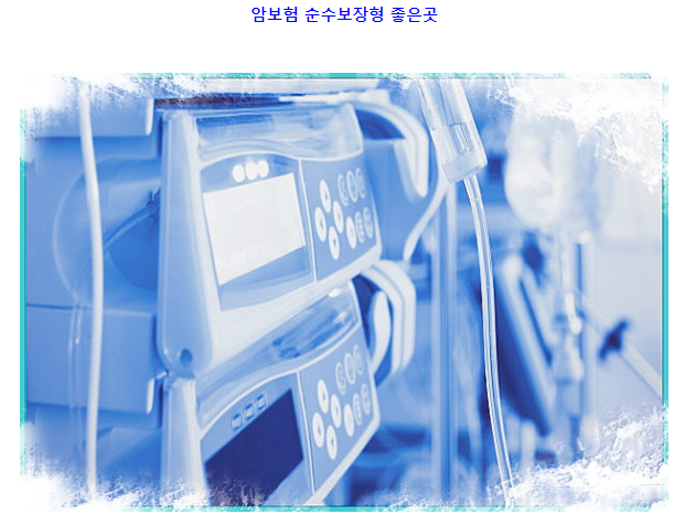  암보험 순수보장형 특약종류 준비방법