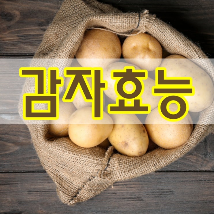  감자 효능 낱낱이 파헤쳐보자!
