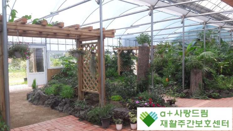  <석대 치유농장 방문> : 화분심기 원예치료프로그램 해운대 노인주간보호센터 사랑드림재활주간보호센터