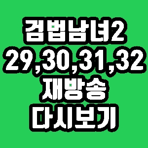검법남녀 시즌2 29회 30회 31회 32회 줄거리 재방송 다시보기 방송시간