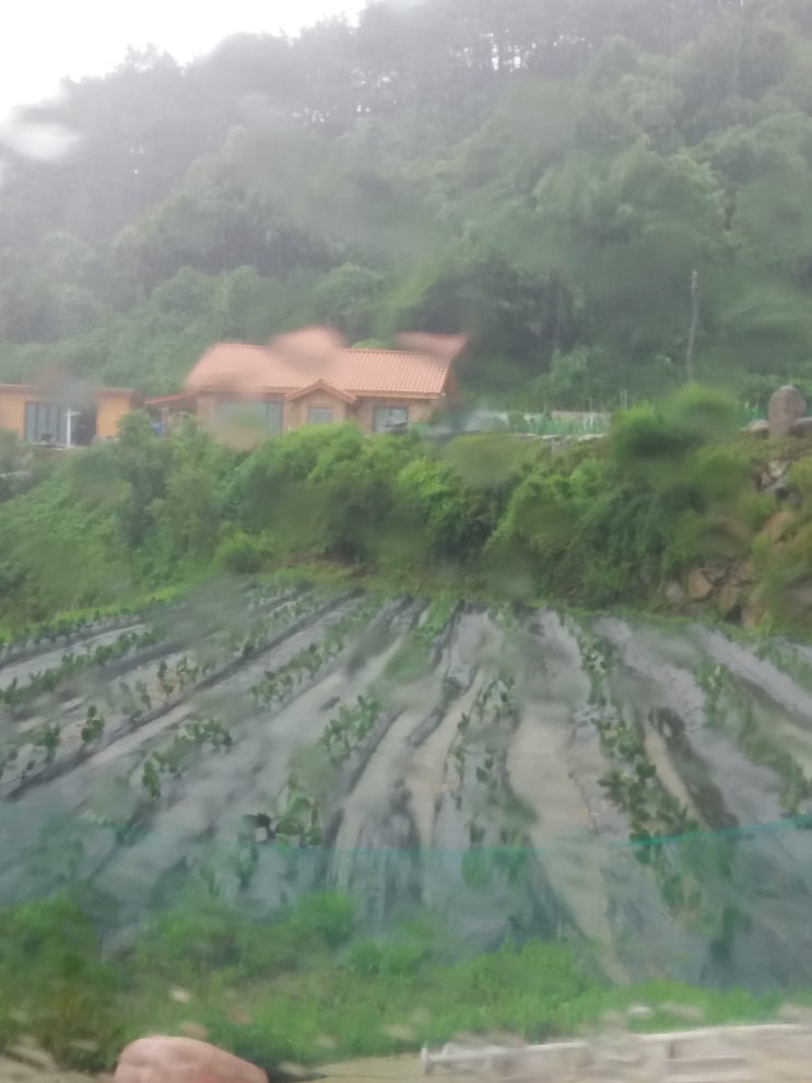  건강원기계  납품하기