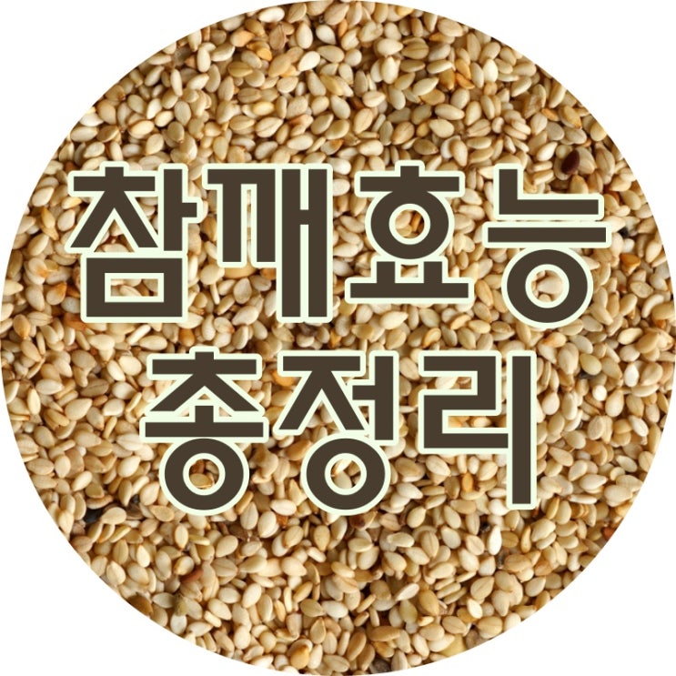  참깨 효능 고소함 속에 숨겨진 비밀