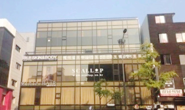  6살 유튜버 보람튜브 보람패밀리, 청담동 95억 강남빌딩 매입