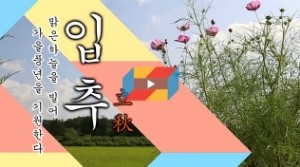  2019년의 입추