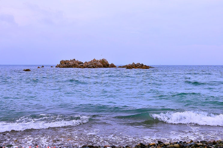  D303 . 경주 문무대왕릉 산책