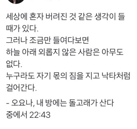  내고향 제주에서 cc️