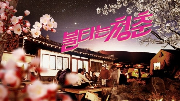  [일상,기록] 화요일 밤에는 불청을 본다