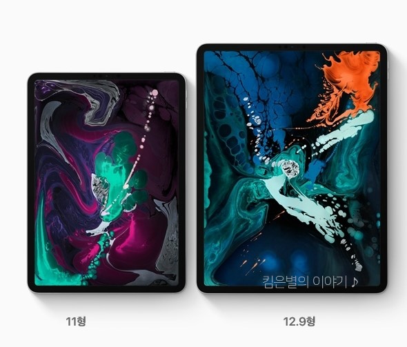  Apple 아이패드 프로 3세대 Wi-Fi + 셀룰러 리뷰