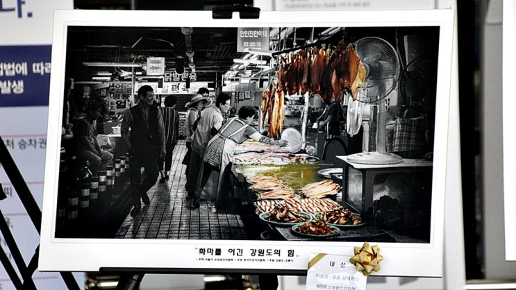  소상공인 연합회, 강원 희망 투어 사진전/ 화마를 이긴 강원도의 힘