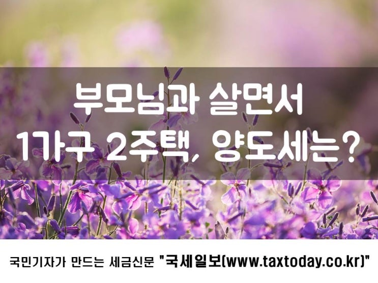  부모님과 살면서 1가구 2주택, 양도세는?