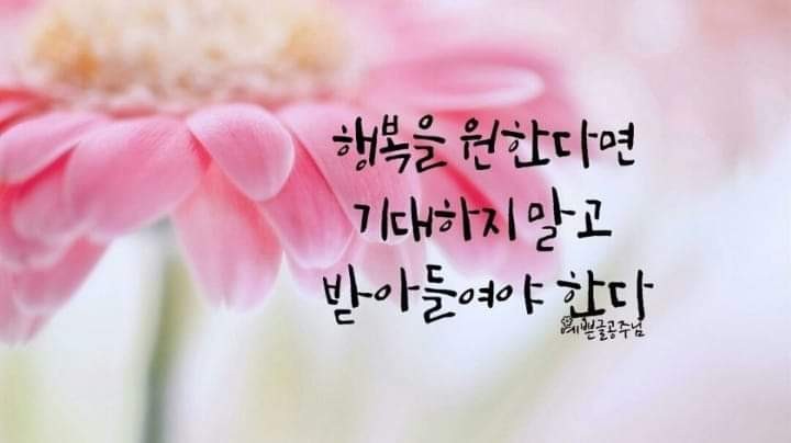  2019년 7월 23일 신문을 통해 알게 된 이야기들...