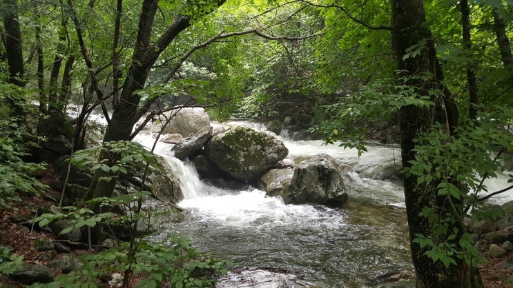  【추천】조무락골 백패킹 첩첩산중 얼음같이 차가운  계곡