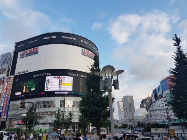  [마지막, 일본워홀 +7] 집안일/회사면접보기/신주쿠쉑쉑버거
