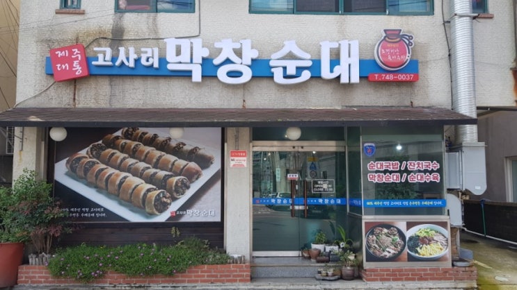  [제주맛집] 제주대통 고사리 막창순대 순대국밥 막창순대 제주시맛집 연동맛집 제주공항근처맛집 진한국물