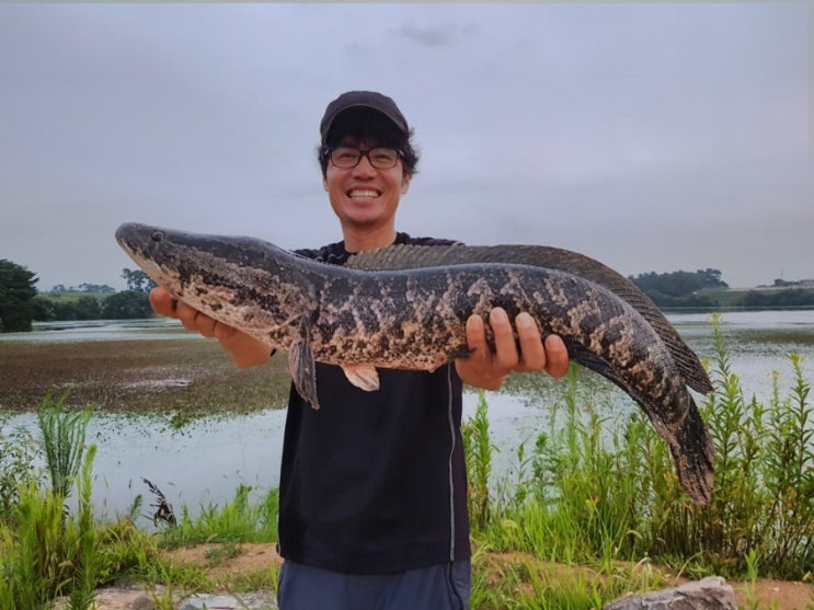 후참에는 내야