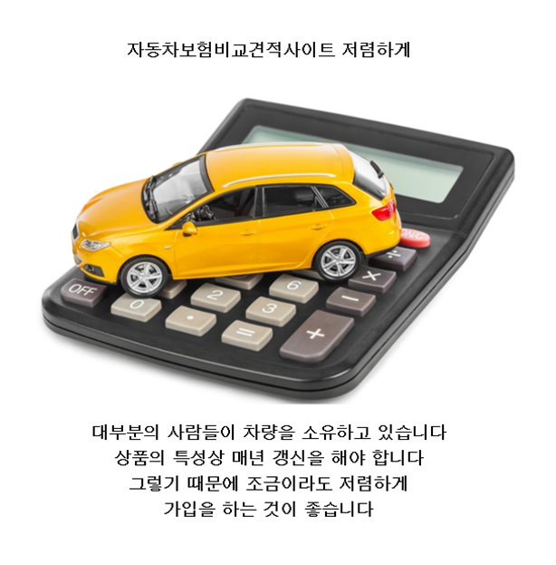  자동차보험가족 두렵지않게