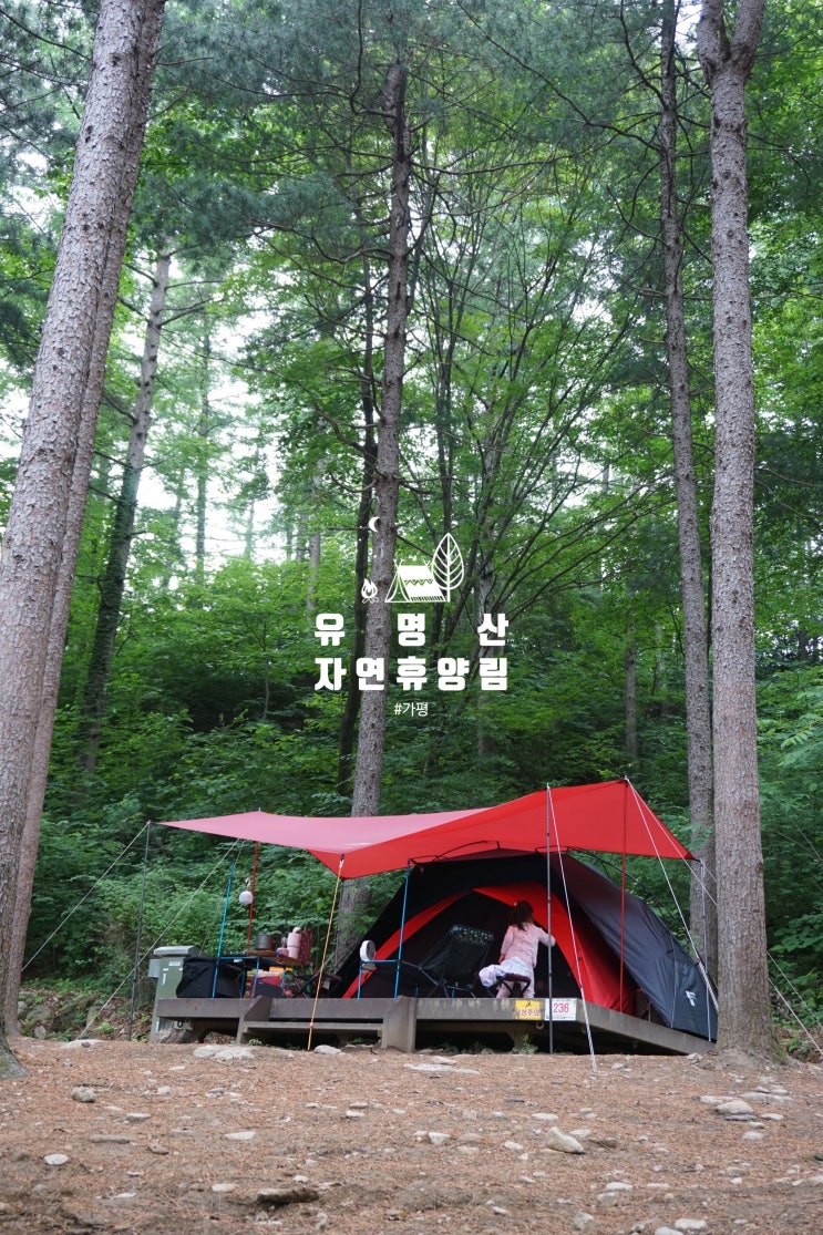  [2019.06.21~2019.06.22]땡칠이의 캠핑 이야기 No.82 _유명산 자연휴양림캠핑