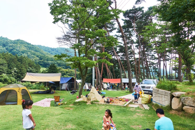  전남캠핑장 장성 솔내음물댄동산 1박2일 캠핑