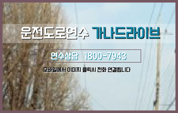  신월동 운전연수 시내주행연수 대해 확인해봐요