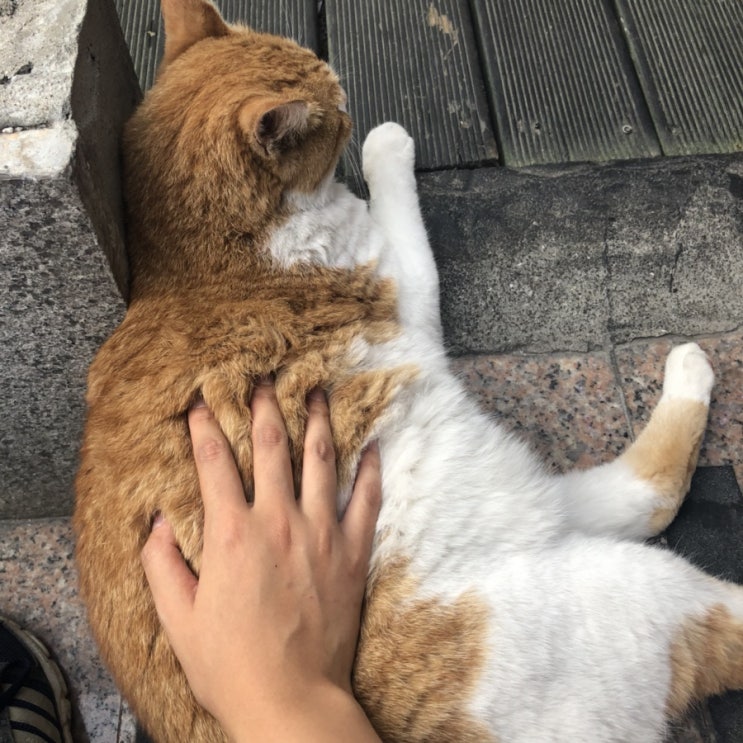  [조용한 하루] 수학공부 | 홍대 풍경 | 자전거는 이제 끝