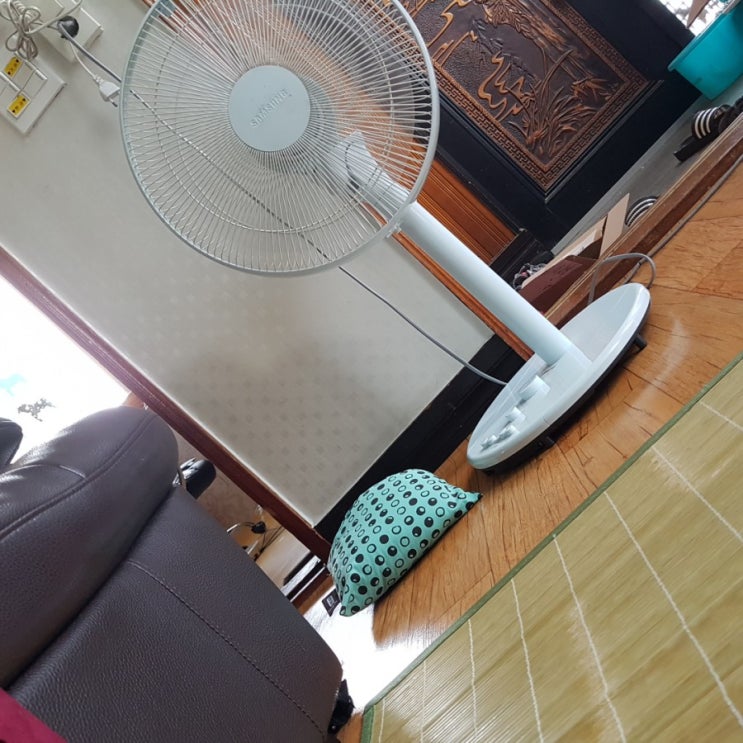  대서::장마가 끝나고 더위가 가장 심한날,이런날 방콕이라니ㅠ_ㅠ