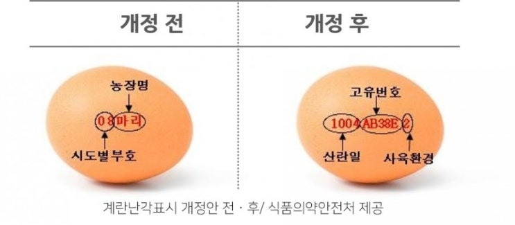  계란(달걀) 어떻게 사는게 현명할까?! 산란일자 표시제도로 계란 구매 똑똑하게 하자