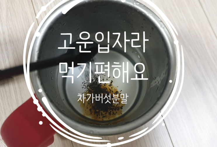  몸에 좋다는 차가버섯분말 고운입자가 먹기 좋네요~