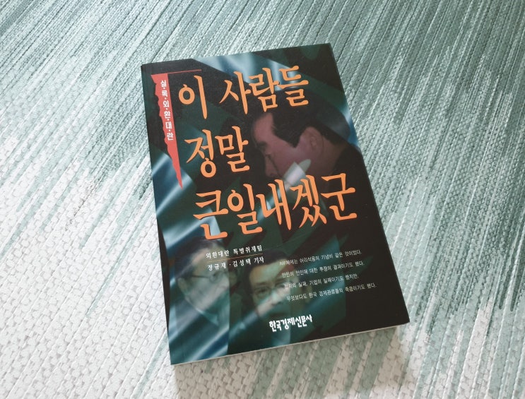  "이 사람들 정말 큰일내겠군" _ 저자: 정규재, 김성택