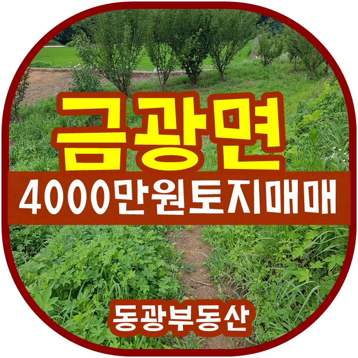  안성토지매매/금광면토지매매/소형토지/농막/자연친화적인토지/안성땅/안성부동산/동광부동산/031-671-2411