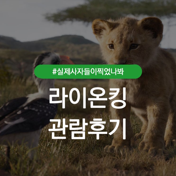  라이온킹, 재밌게 관람하셨나요?