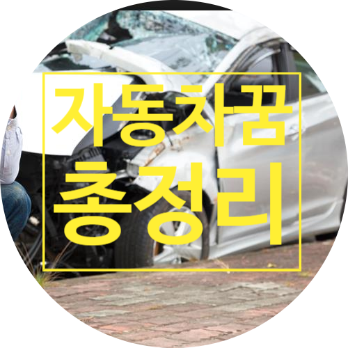자동차 꿈 차가 물에 빠지는 꿈 차사고나는 꿈해몽