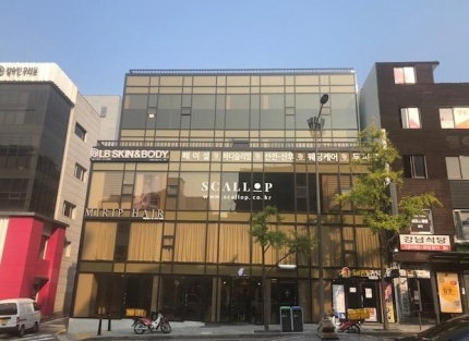  6살 유튜버 보람이 가족회사, 95억 청담동 빌딩 매입