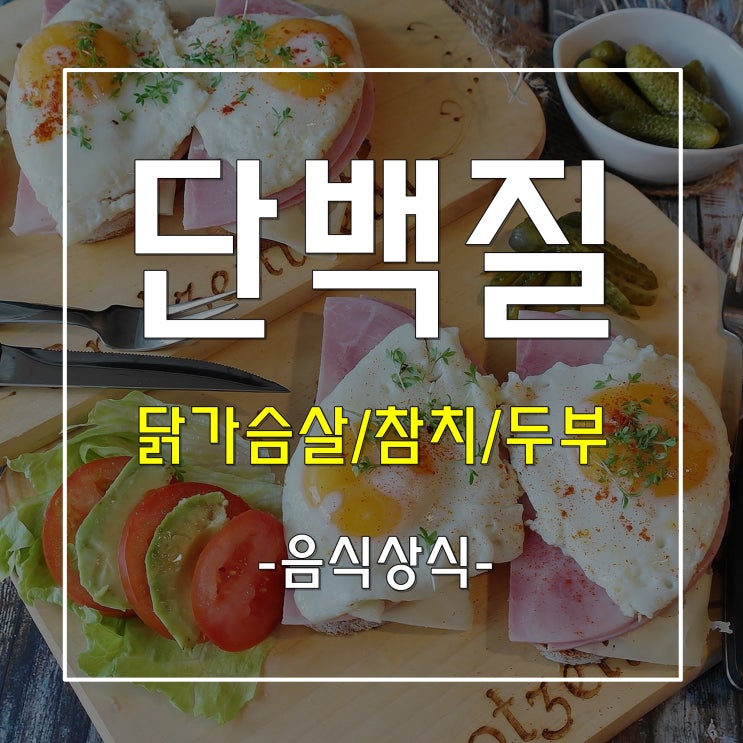  단백질 많은 음식과 우리 몸에 필요한 이유